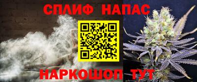 гидра Гай