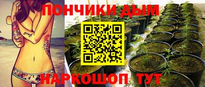 соль ск Гатчина
